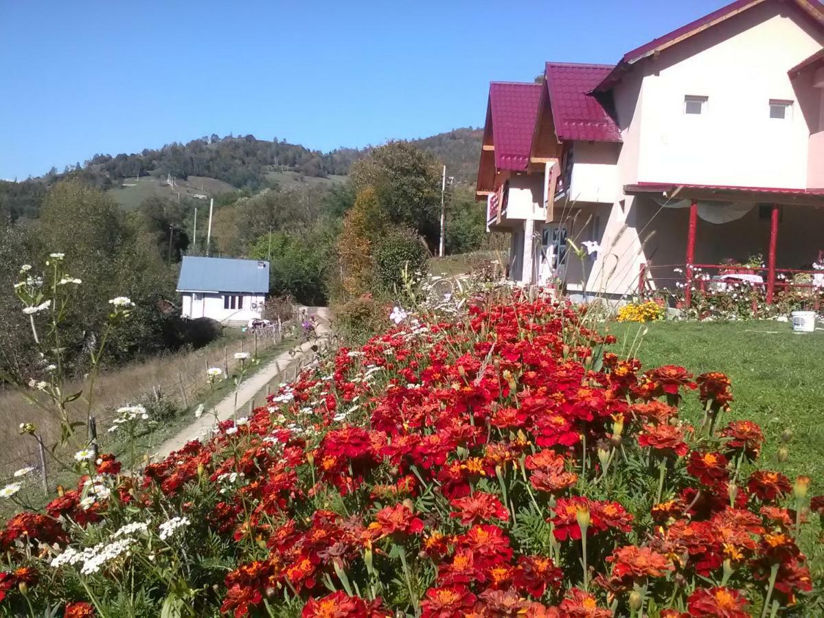 Casa Cu Muscate Hotel Cimpeni Exterior photo