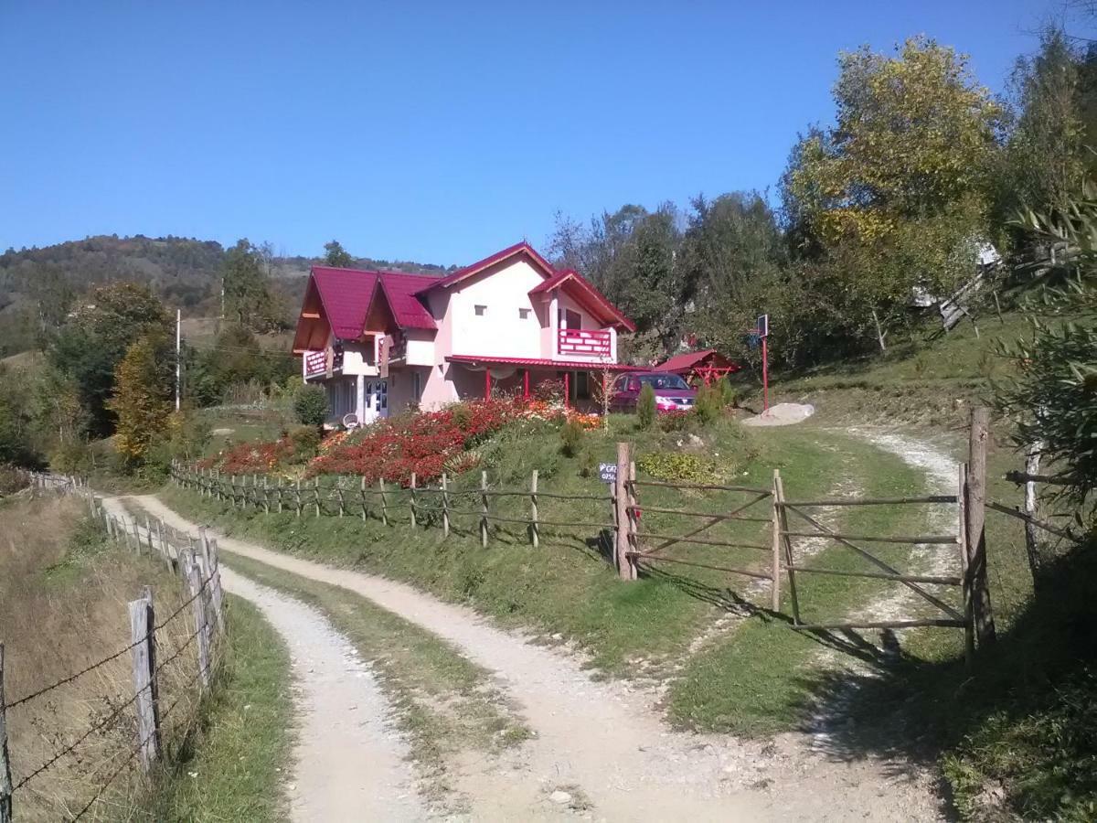 Casa Cu Muscate Hotel Cimpeni Exterior photo