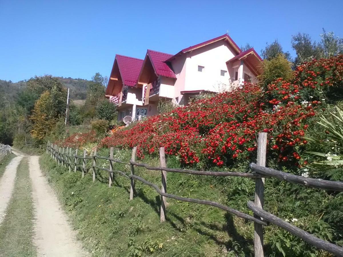 Casa Cu Muscate Hotel Cimpeni Exterior photo