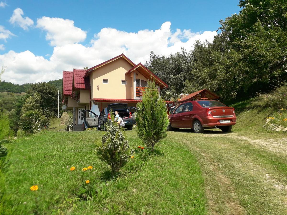 Casa Cu Muscate Hotel Cimpeni Exterior photo