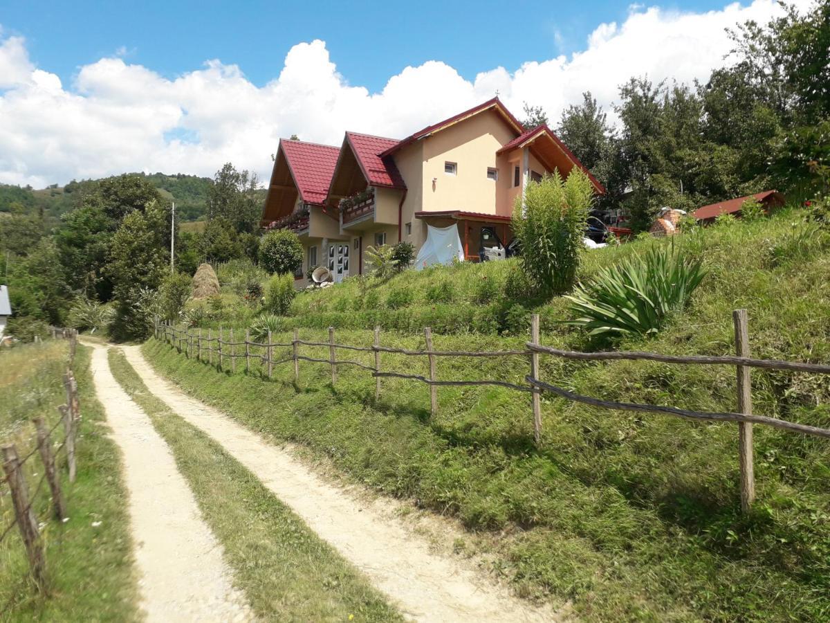 Casa Cu Muscate Hotel Cimpeni Exterior photo